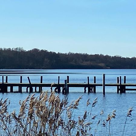 Tiwu - Ferienwohnungen Steinhude Buitenkant foto